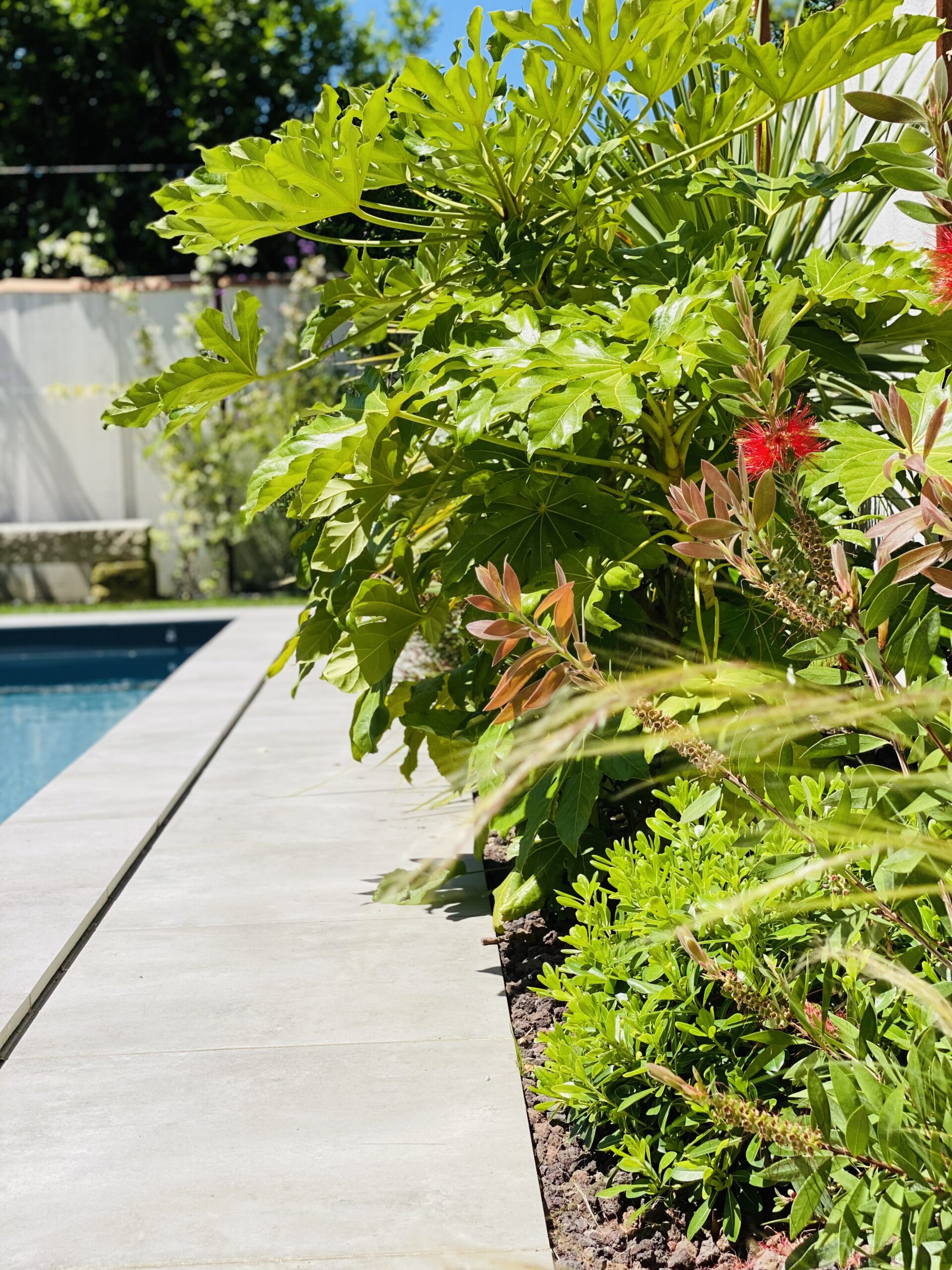 Aménagement d&rsquo;un jardin paysager à Bègles