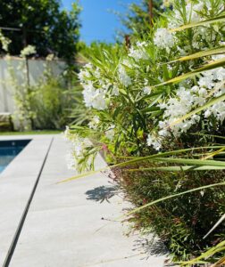 Aménagement d&rsquo;un jardin paysager à Bègles