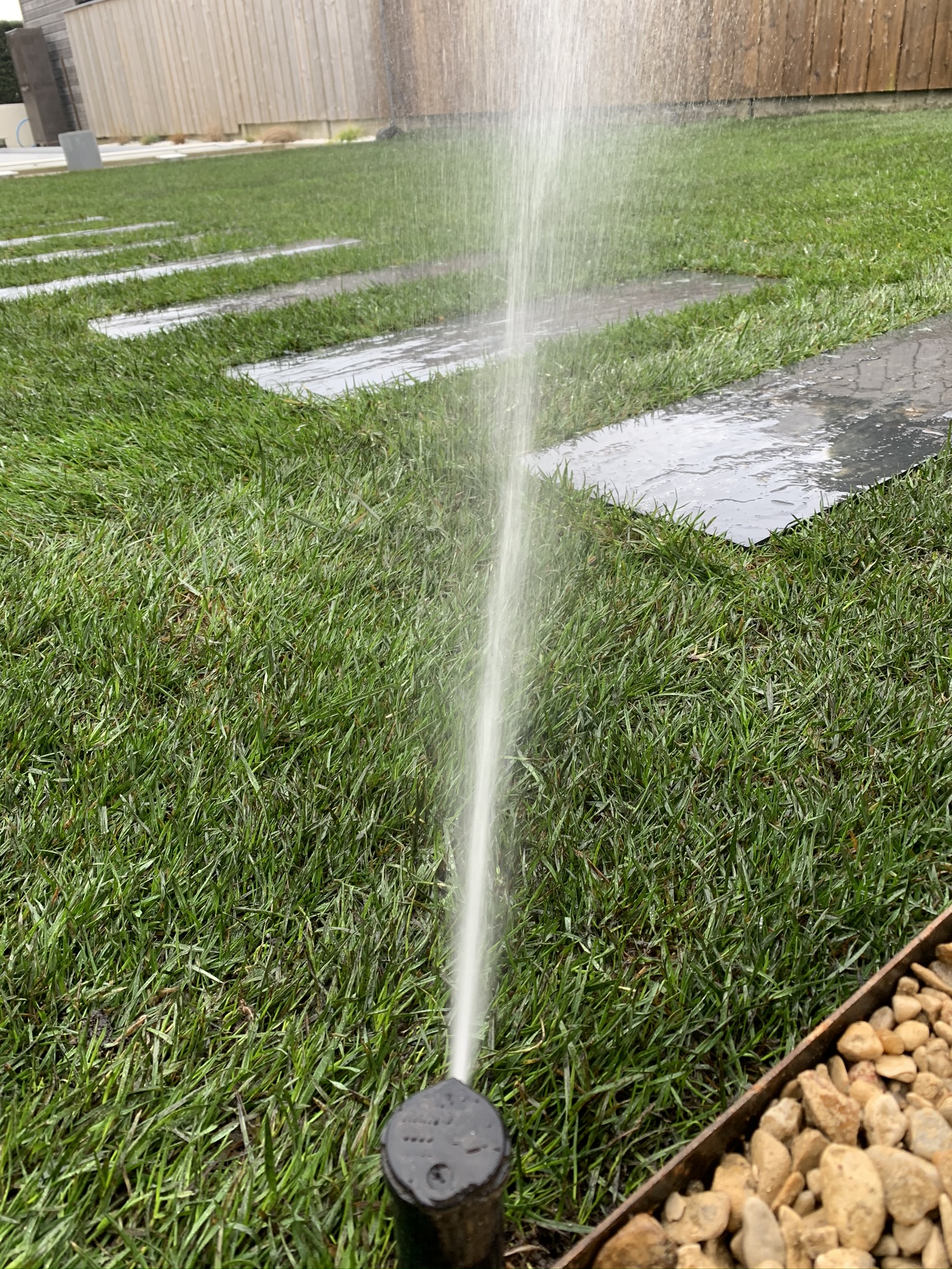 Création d&rsquo;un arrosage automatique à Pessac