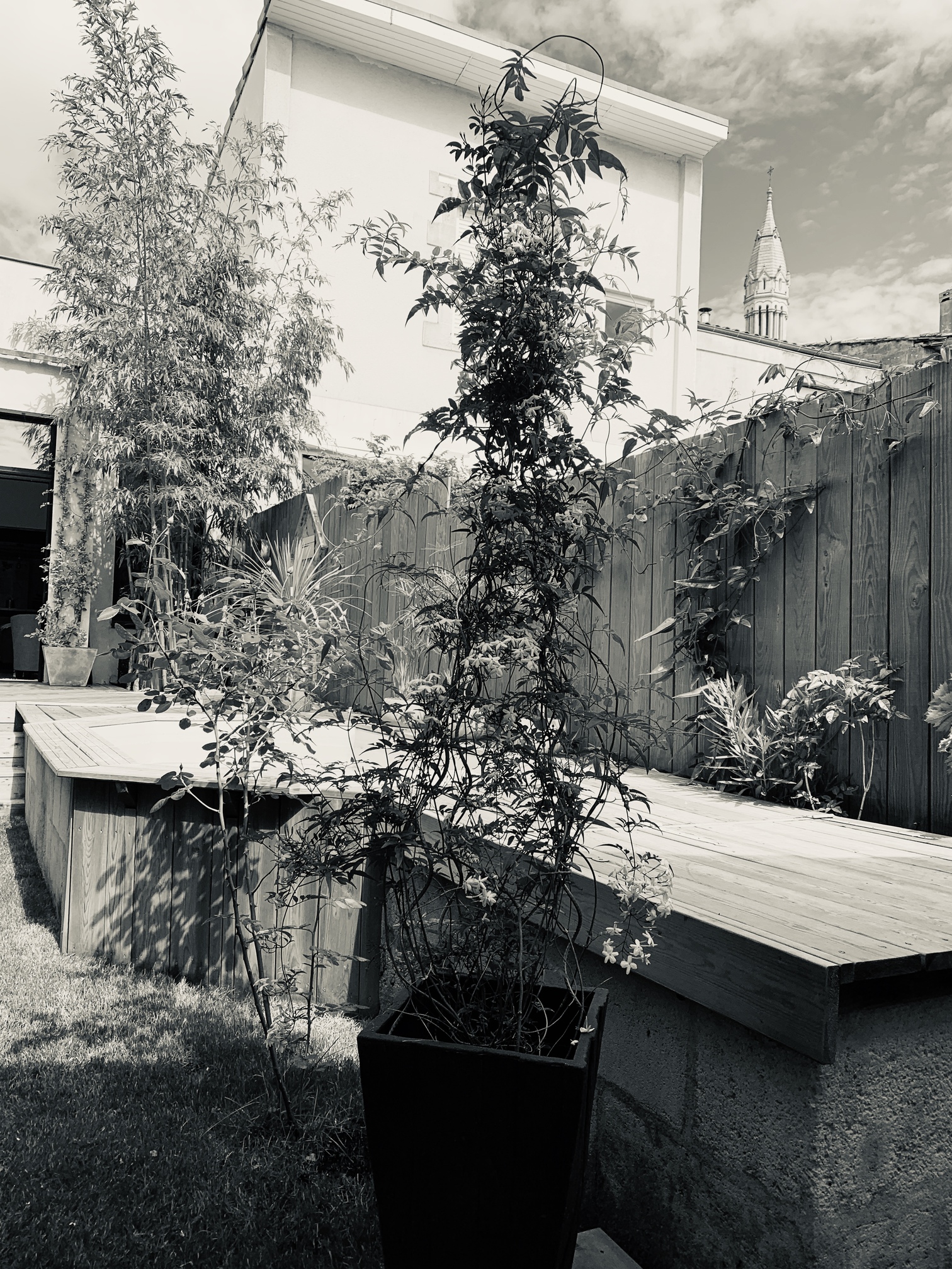 Création d&rsquo;un jardin urbain à Bordeaux