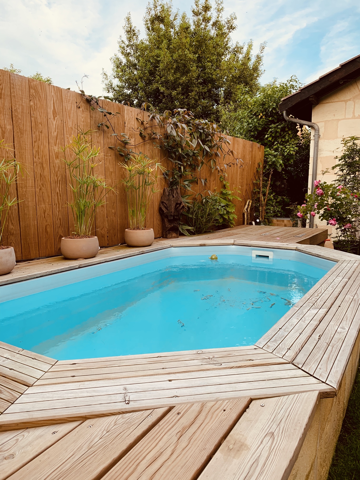 Création d&rsquo;un jardin urbain à Bordeaux