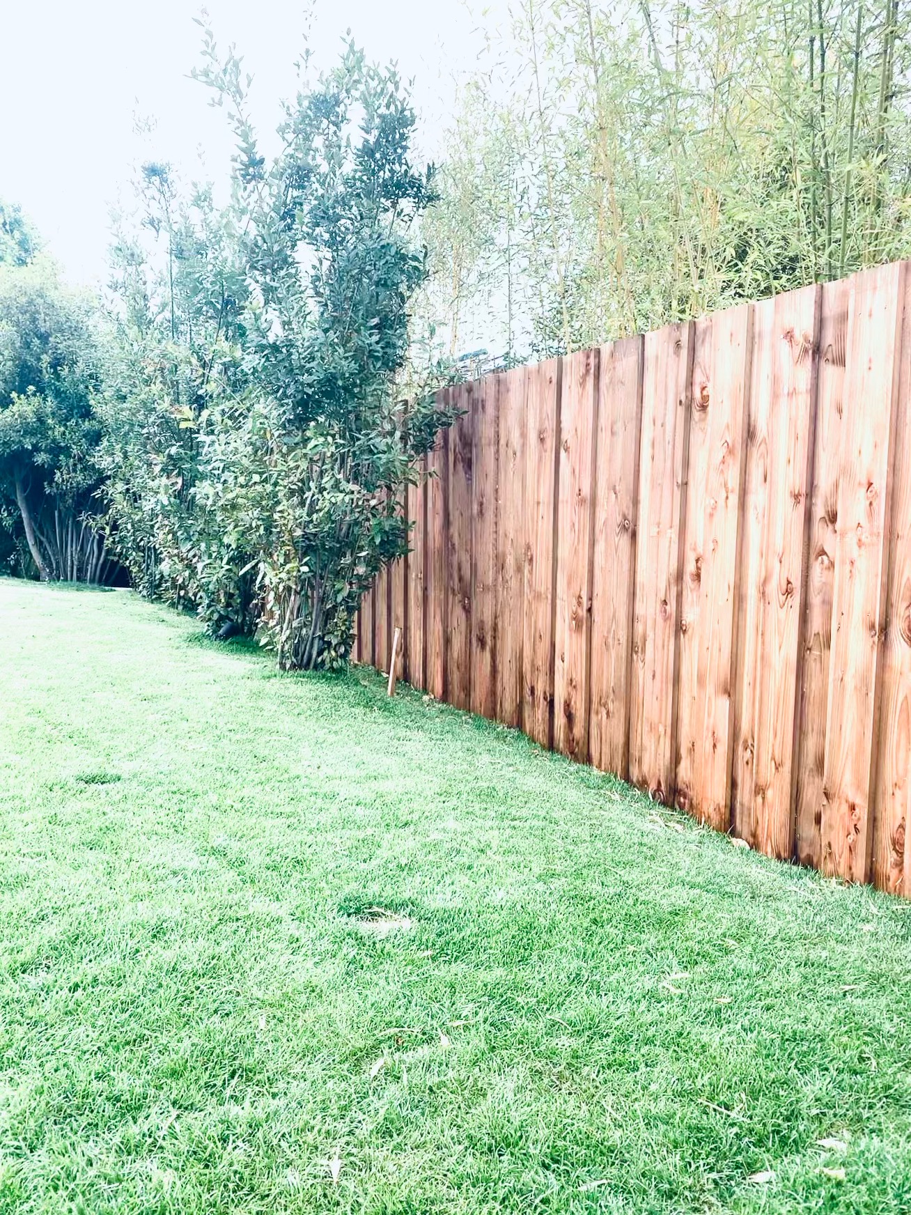 Création intégrale d&rsquo;un jardin à Pessac