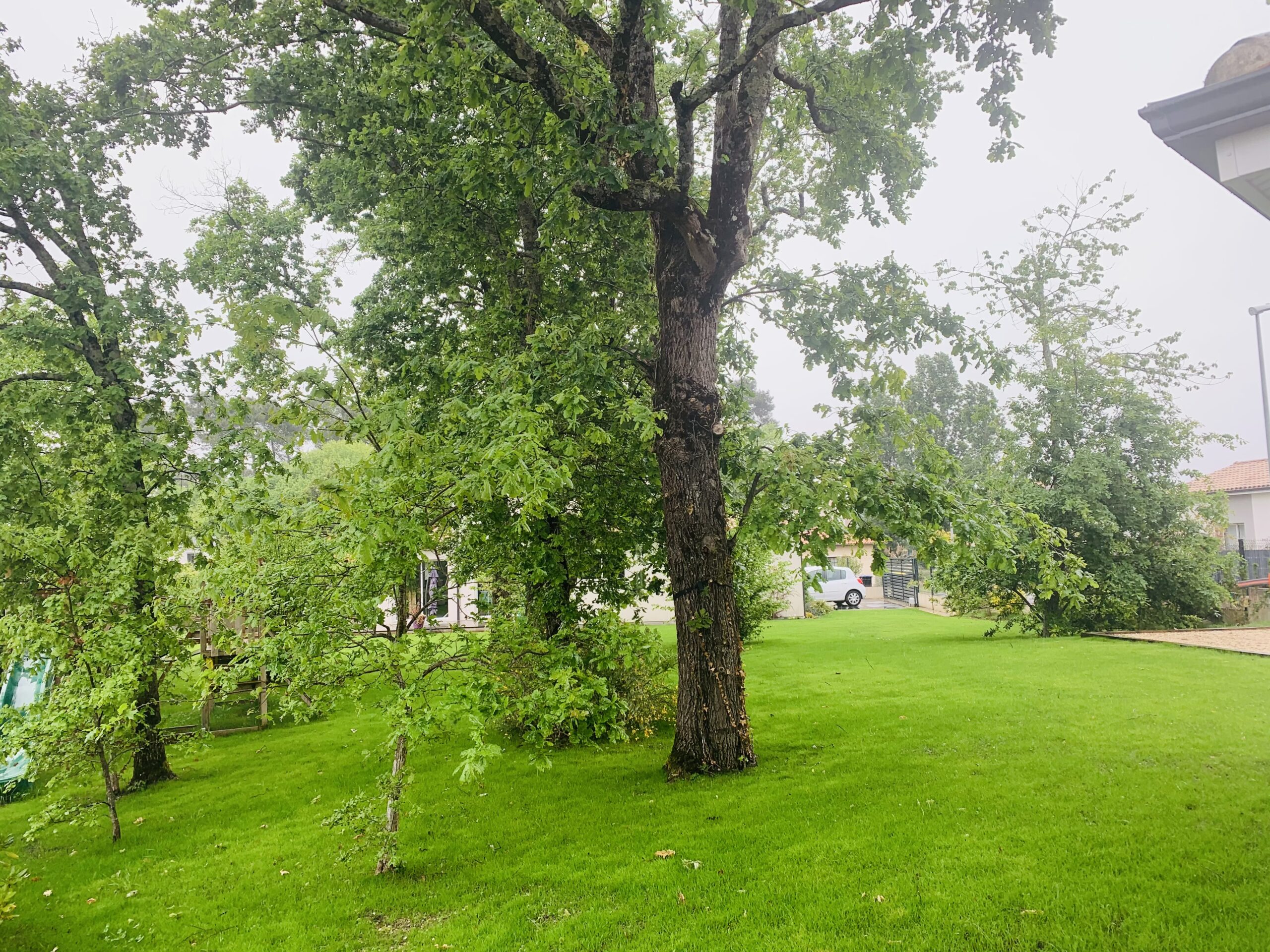 Réalisation d&rsquo;un gazon à Canéjan