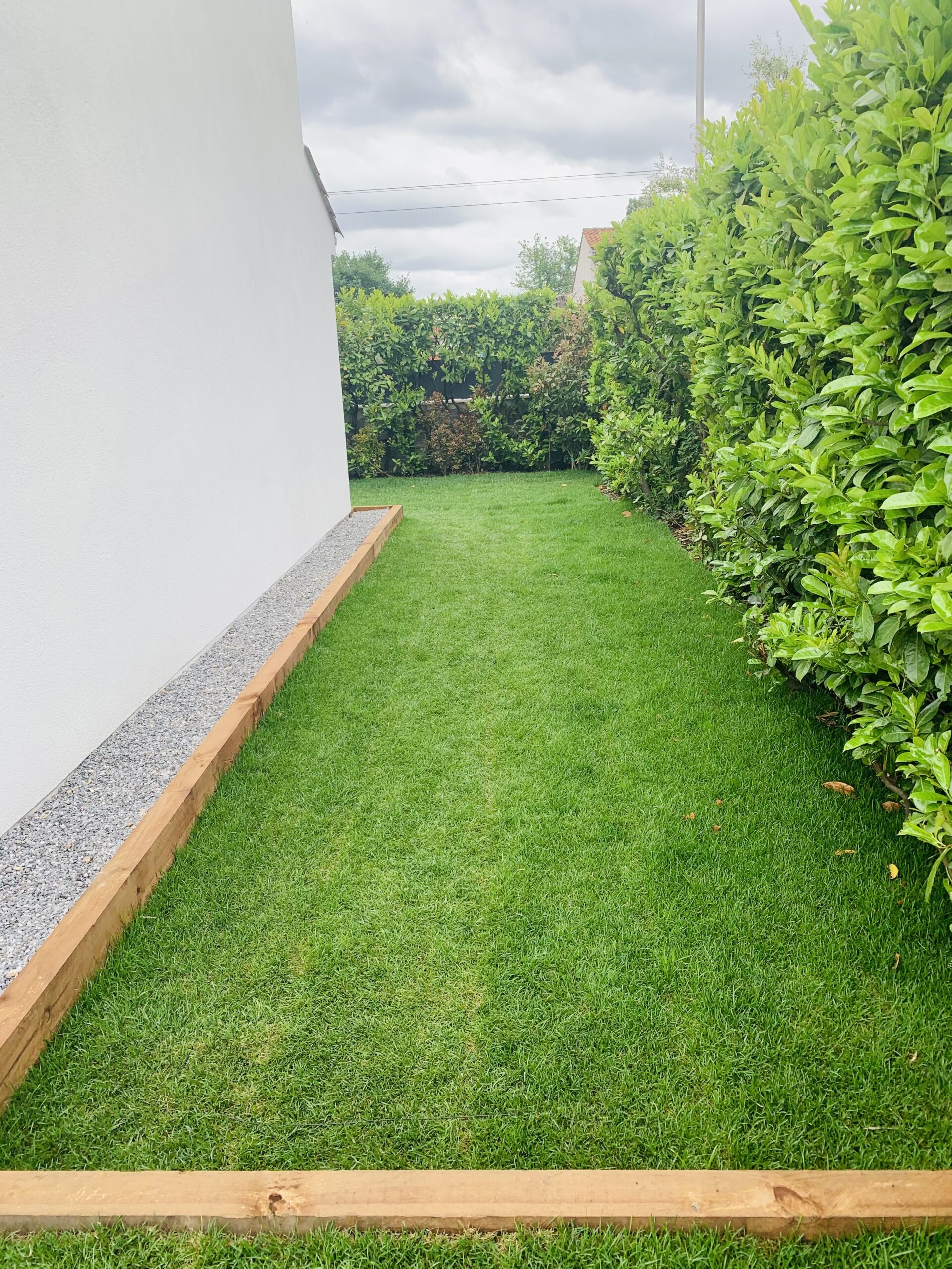 Réalisation d&rsquo;un gazon à Pessac