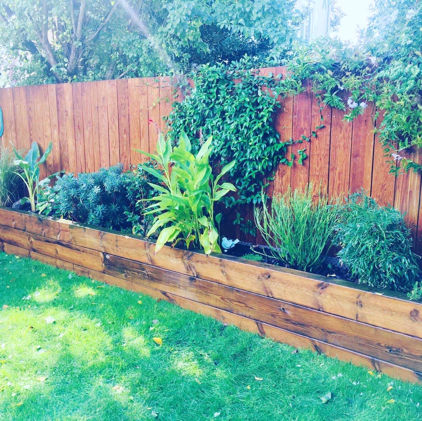 Réalisation de massif traverses autoclave Clôture bois autoclave plantation gazon à Bordeaux Nansouty