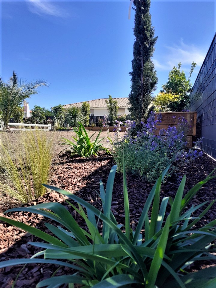 Aménagement de jardin pour cacher le vis-à-vis à Léognan