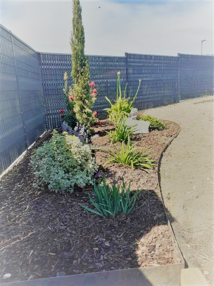 Aménagement de jardin pour cacher le vis-à-vis à Léognan